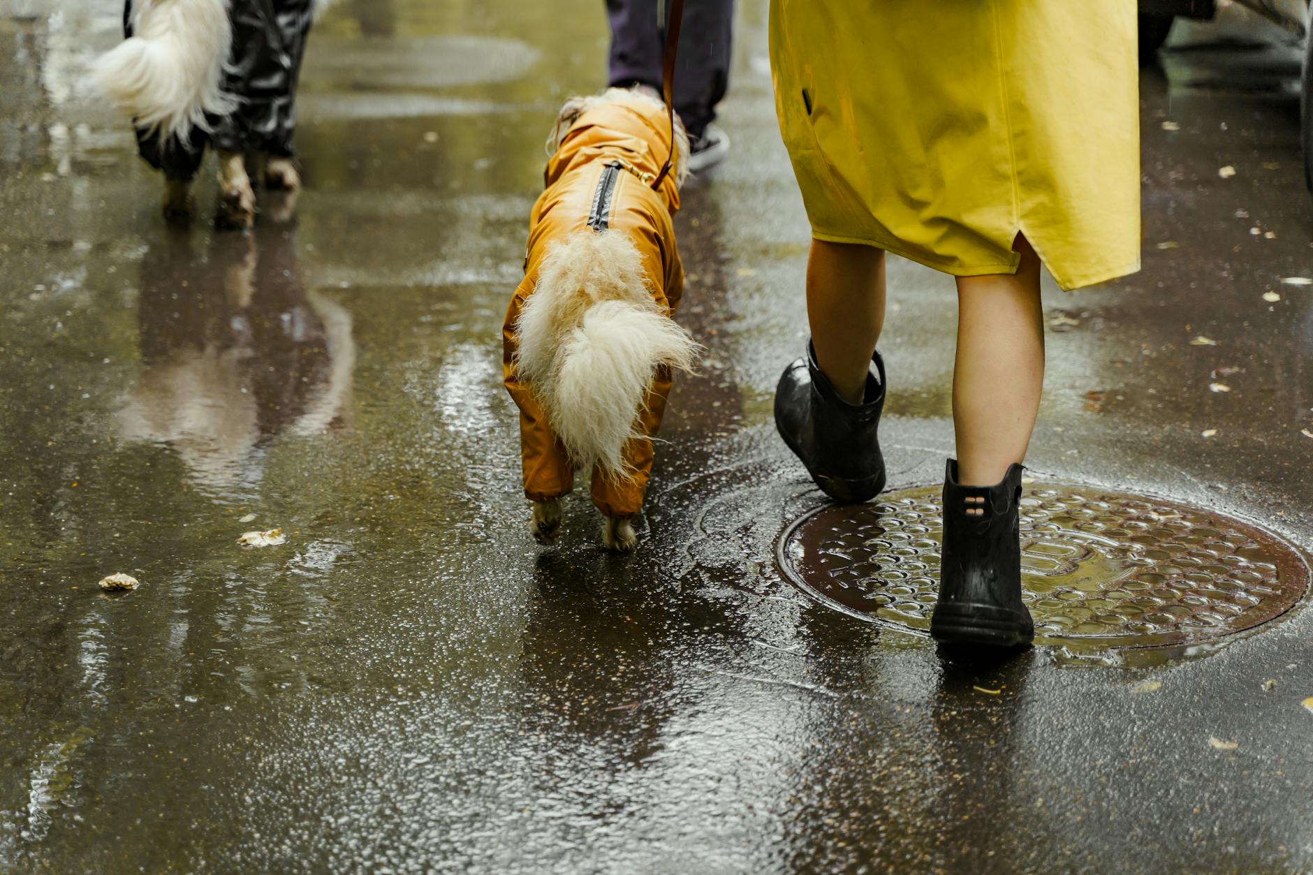 person in yellow raincoat and black boots walking on wet road